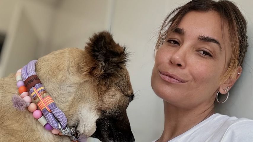 Jana Ina Zarrella holte sich Hunde-Tipps bei Martin Rütter